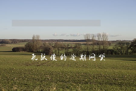 孔跃俊的逾期网贷 孔跃俊的逾期网贷