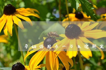 孕妇信用卡一万五逾期坐牢吗 孕妇信用卡一万五逾期坐牢吗