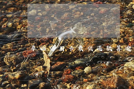 孕妇信用卡最低还款算逾期了吗