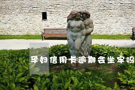 孕妇信用卡逾期会坐牢吗 孕妇信用卡逾期会坐牢吗