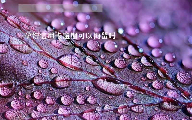 孕妇信用卡逾期可以拘留吗 孕妇信用卡逾期可以拘留吗