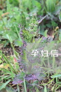 孕妇信用卡逾期立案 孕妇信用卡逾期立案