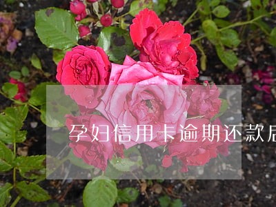 孕妇信用卡逾期还款后果 孕妇信用卡逾期还款后果