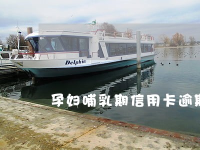 孕妇哺乳期信用卡逾期会坐牢吗 孕妇哺乳期信用卡逾期会坐牢吗