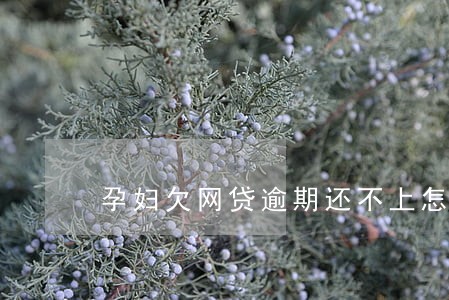 孕妇欠网贷逾期还不上怎么办 孕妇欠网贷逾期还不上怎么办