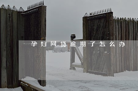 孕妇网贷逾期了怎么办 孕妇网贷逾期了怎么办