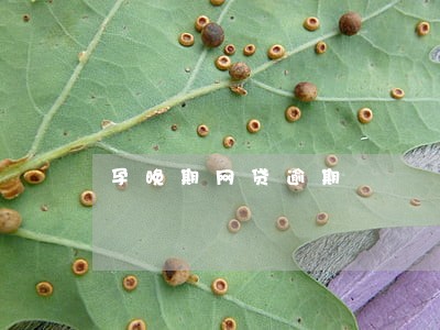 孕晚期网贷逾期 孕晚期网贷逾期