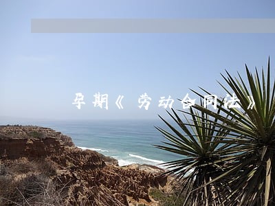 孕期《劳动合同法》