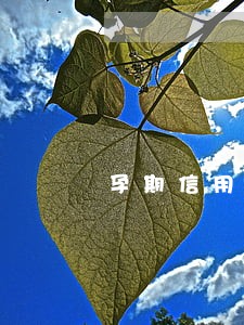 孕期信用卡网贷逾期 孕期信用卡网贷逾期