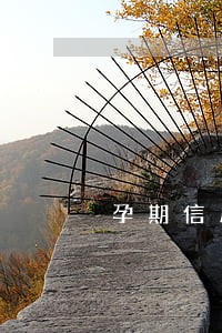 孕期信用卡逾期被起诉怎么办 孕期信用卡逾期被起诉怎么办