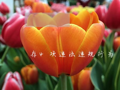 存4项违法违规行为 存4项违法违规行为