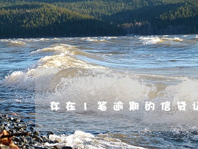 存在1笔逾期的信贷记录