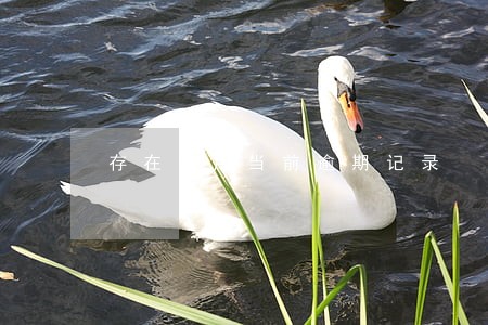 存在信用当前逾期记录 存在信用当前逾期记录