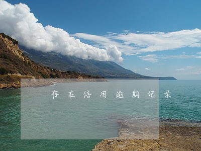 存在信用逾期记录 存在信用逾期记录