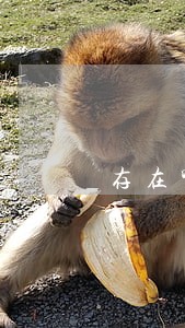 存在哪些卫生法律关系内容 存在哪些卫生法律关系内容