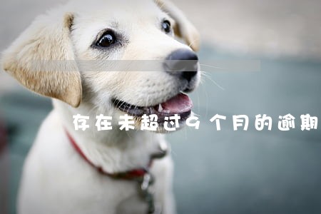 存在未超过9个月的逾期 存在未超过9个月的逾期