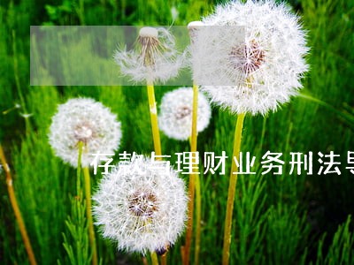 存款与理财业务刑法导读 存款与理财业务刑法导读