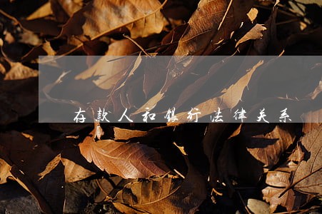 存款人和银行法律关系