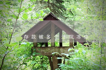 存款被多个法院冻结 存款被多个法院冻结