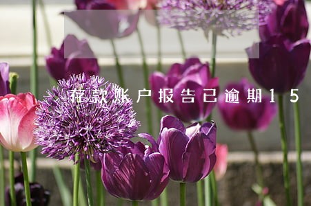 存款账户报告已逾期15日怎么办 存款账户报告已逾期15日怎么办