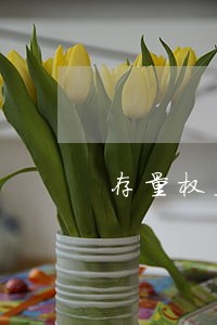 存量权益登记逾期申报6 存量权益登记逾期申报6