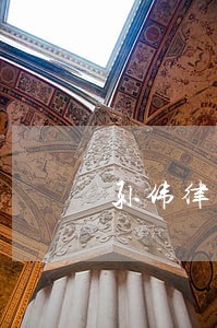 孙伟律师一对一咨询 孙伟律师一对一咨询