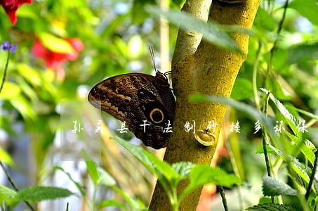 孙吴县干法制砂楼多环保的要求 孙吴县干法制砂楼多环保的要求