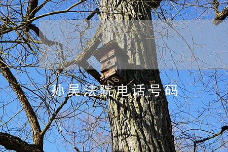 孙吴法院电话号码 孙吴法院电话号码
