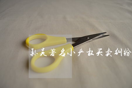孙吴著名小产权买卖纠纷律师 孙吴著名小产权买卖纠纷律师