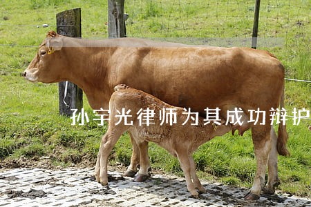 孙宇光律师为其成功辩护为无罪 孙宇光律师为其成功辩护为无罪