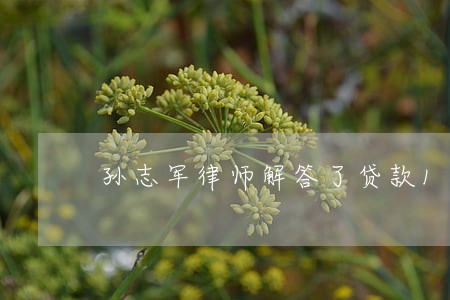 孙志军律师解答了贷款150 孙志军律师解答了贷款150