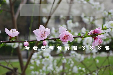 孙春茹律师解答了公公快60岁 孙春茹律师解答了公公快60岁