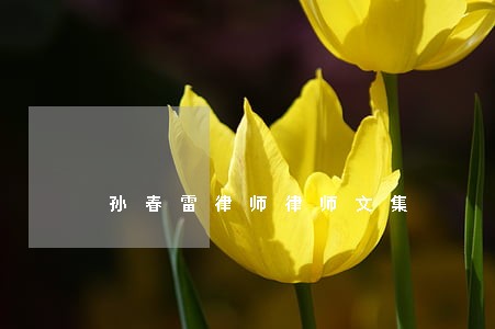 孙春雷律师律师文集 孙春雷律师律师文集