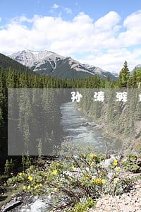 孙涛滁州银行逾期 孙涛滁州银行逾期