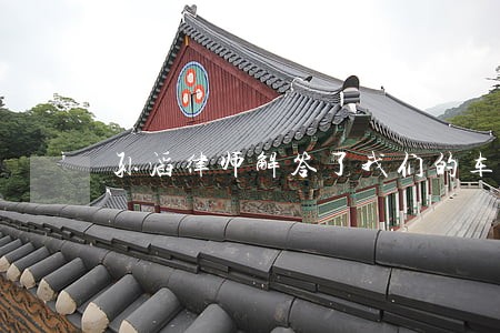 孙滔律师解答了我们的车碰到人了