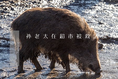 孙老太在超市被救法院判赔 孙老太在超市被救法院判赔