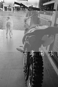 孝南法院严格管车 孝南法院严格管车
