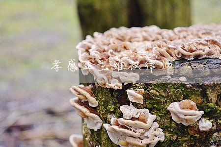 孝感业主维权律师 孝感业主维权律师