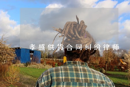 孝感供货合同纠纷律师 孝感供货合同纠纷律师