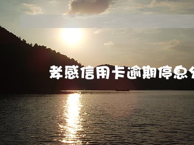 孝感信用卡逾期停息分期申请条件