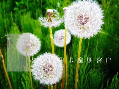 孝感信用卡逾期客户
