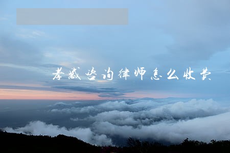 孝感咨询律师怎么收费 孝感咨询律师怎么收费