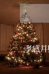 孝感并购律师法律咨询 孝感并购律师法律咨询