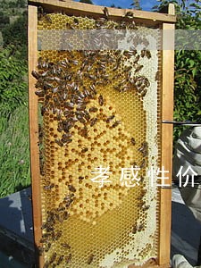孝感性价比高的法律咨询 孝感性价比高的法律咨询