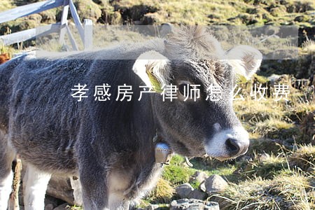 孝感房产律师怎么收费 孝感房产律师怎么收费