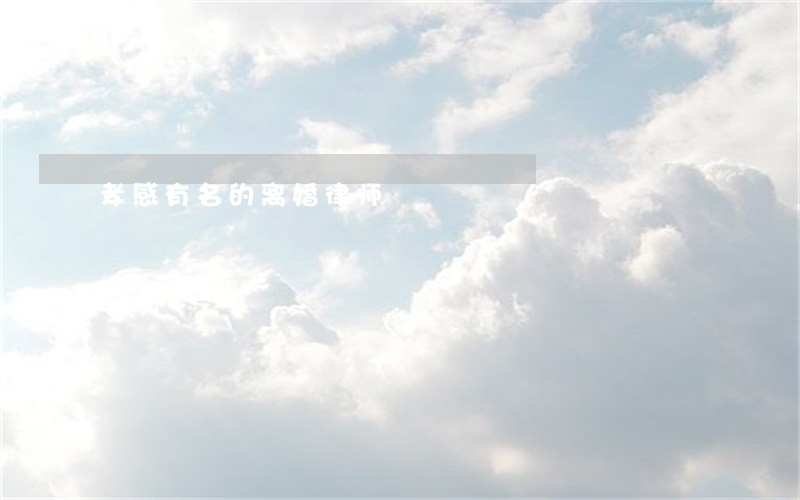 孝感有名的离婚律师