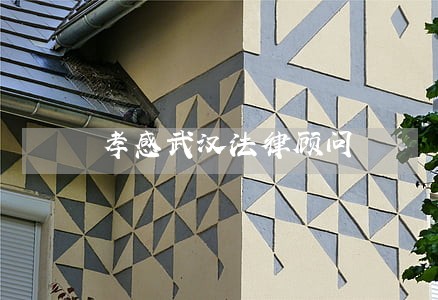 孝感武汉法律顾问 孝感武汉法律顾问