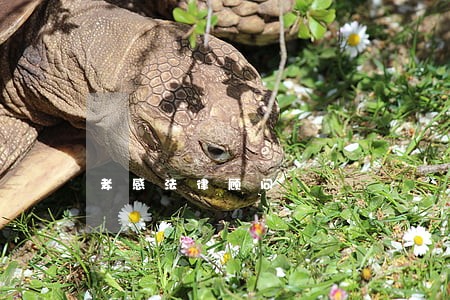 孝感法律顾问 孝感法律顾问