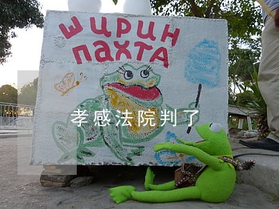 孝感法院判了 孝感法院判了