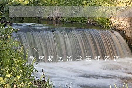 孝感移民留学法律咨询 孝感移民留学法律咨询